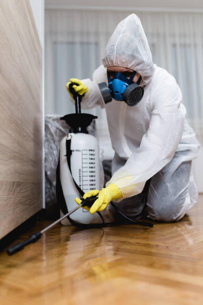 Best Commercial Pest Control  in Springfield, VA